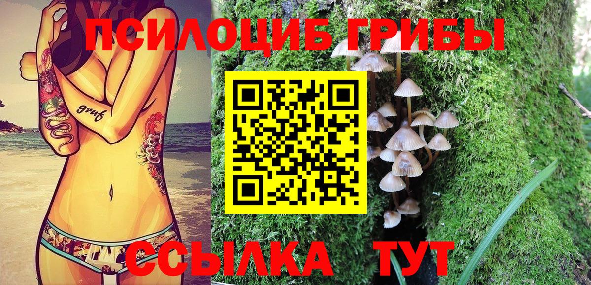 Южноуральск  Галлюциногенные грибы прущие грибы  Вход с VPN 